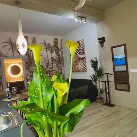Appartement Casa Maravillosa *